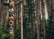 totem pole at algonquin provincial park