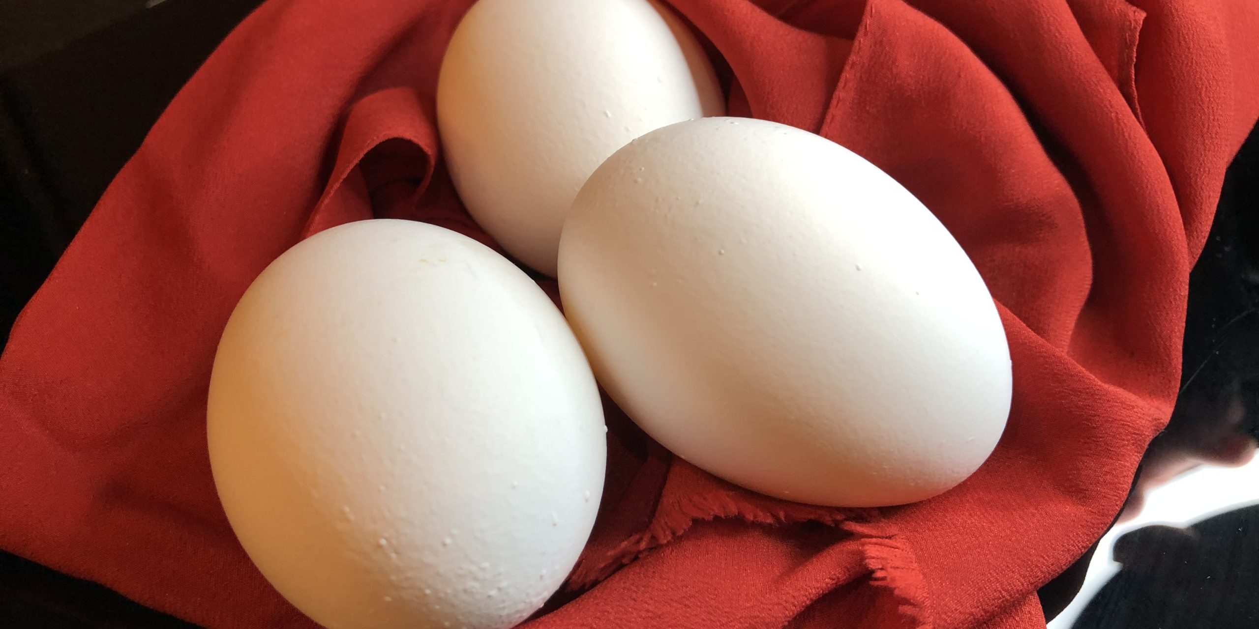 Egg on red velvet photo